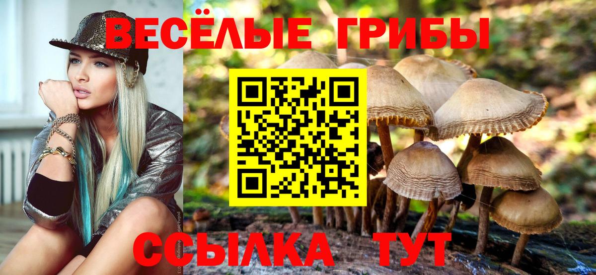 Псилоцибиновые грибы ЛСД  Вход с VPN  Калининград 