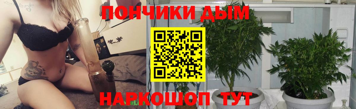 Каннабис THC 21%  Вход с VPN  Калининград  Бошки Шишки Amnesia 